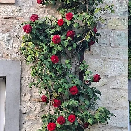 Lägenhet La Maison De Zelia *
